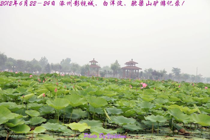 135.jpg