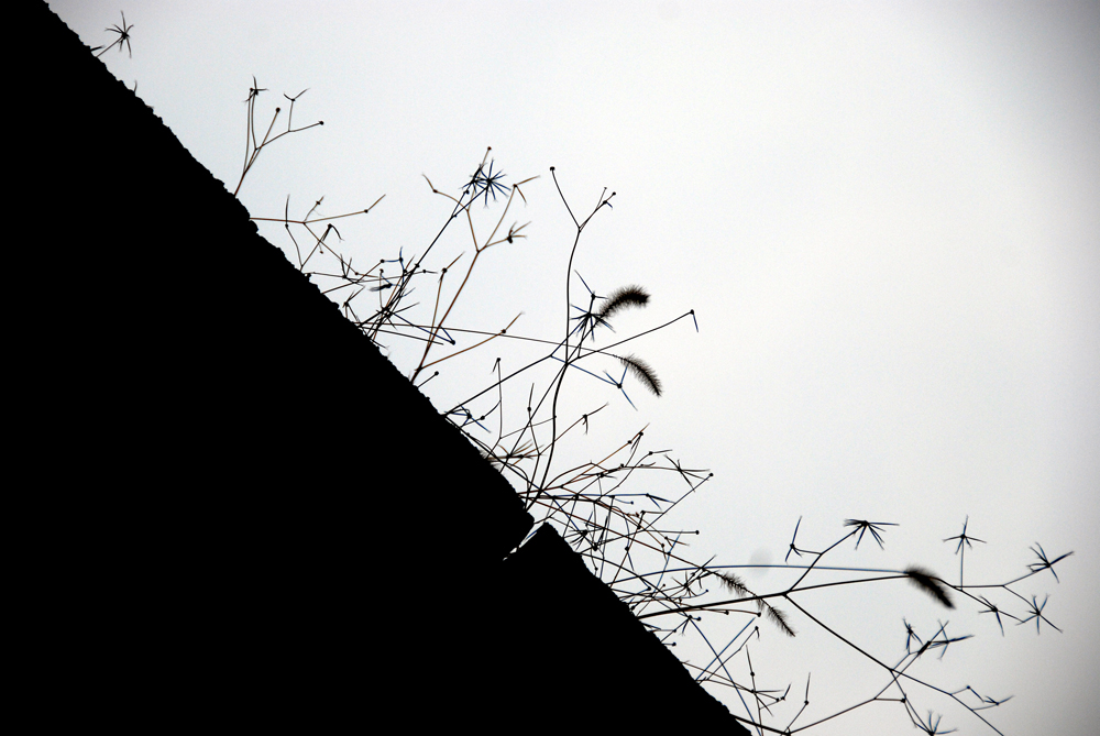 DSC_7650 副本.jpg