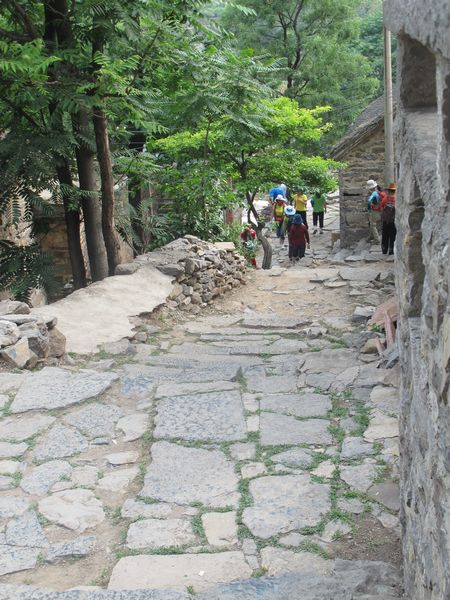 IMG_2590.JPG