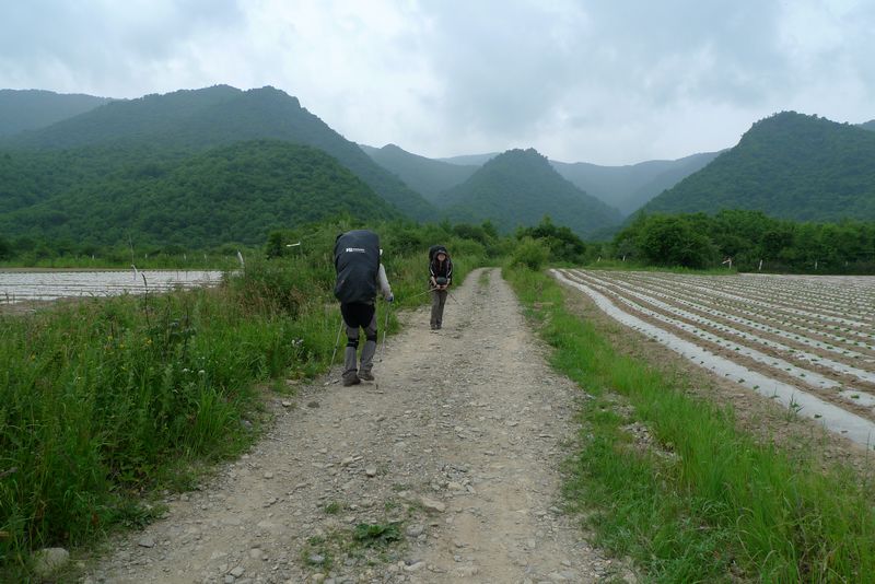 P1100285.JPG