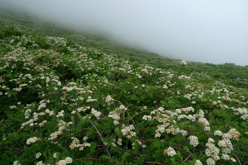 P1100349.JPG