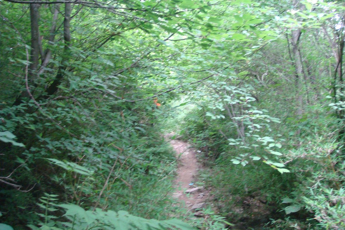 DSC03619.JPG