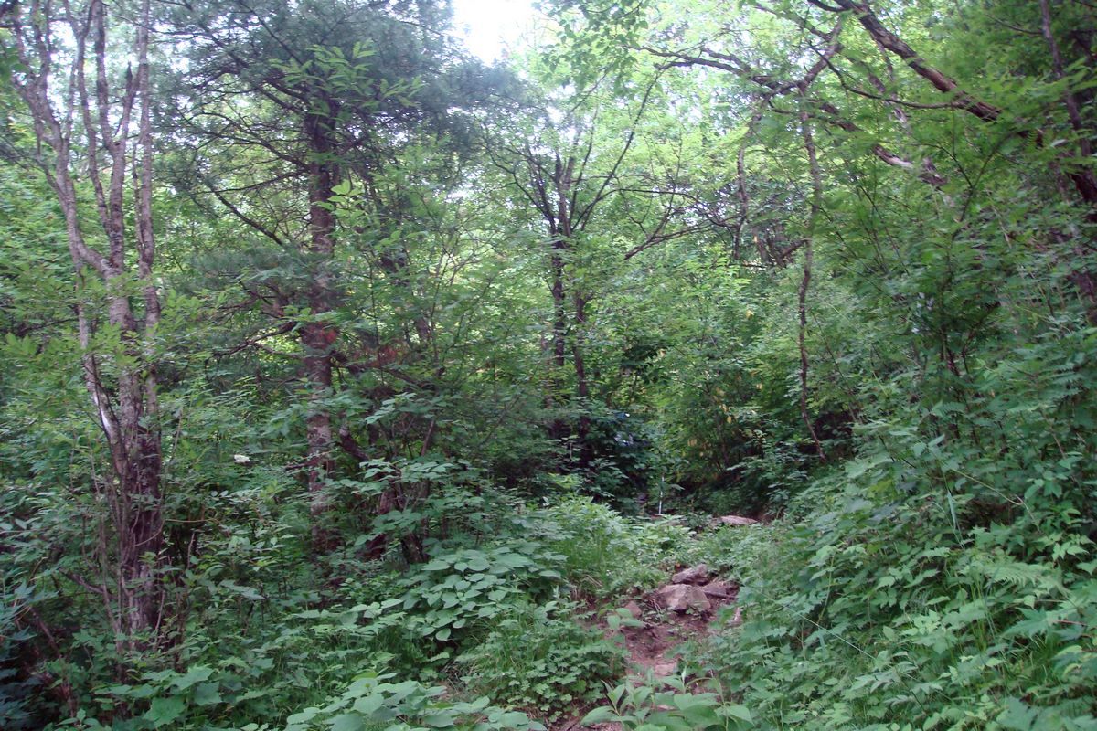 DSC03630.JPG