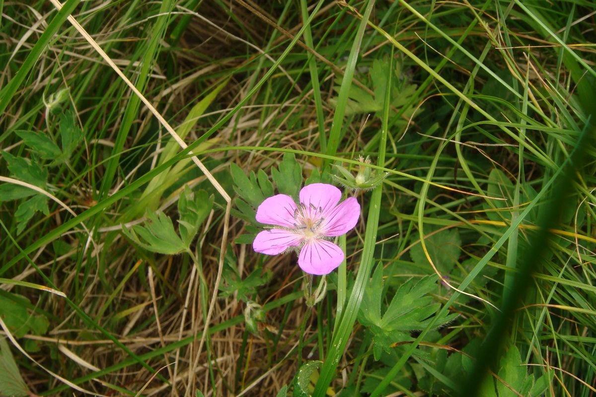 DSC03640.JPG