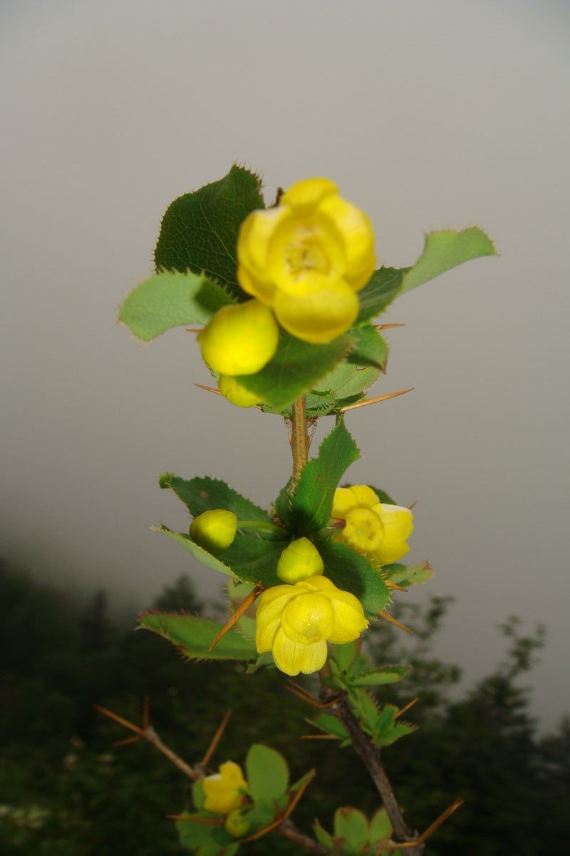 DSC03679.JPG