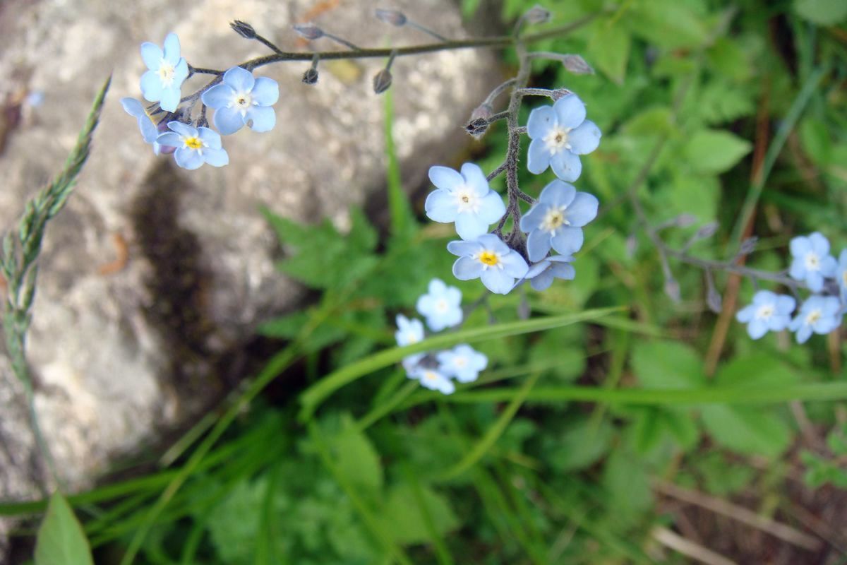 DSC03687.JPG