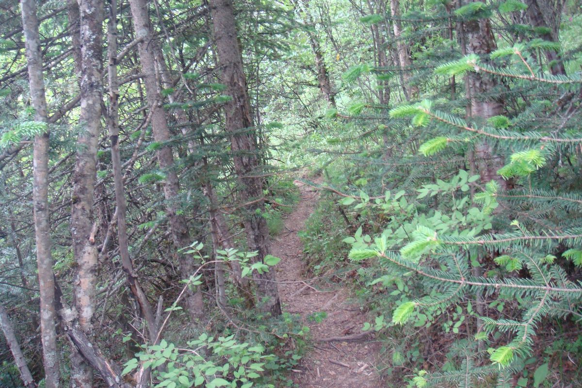 DSC03691.JPG