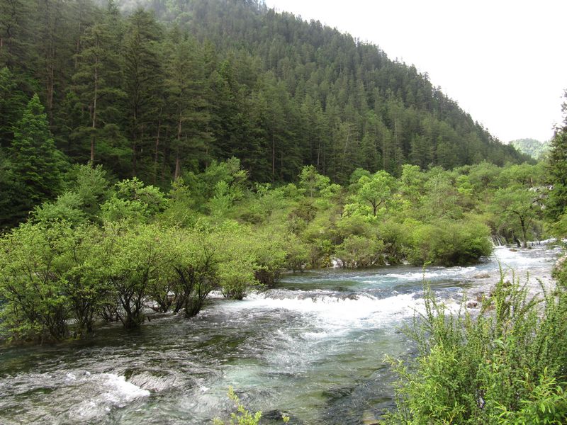 IMG_0508.JPG