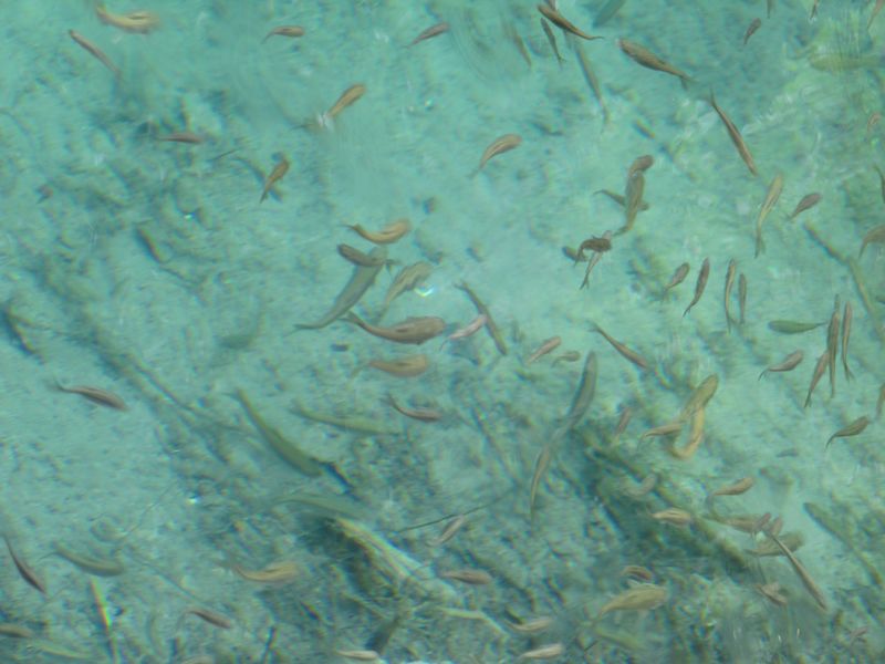 IMG_0638.JPG