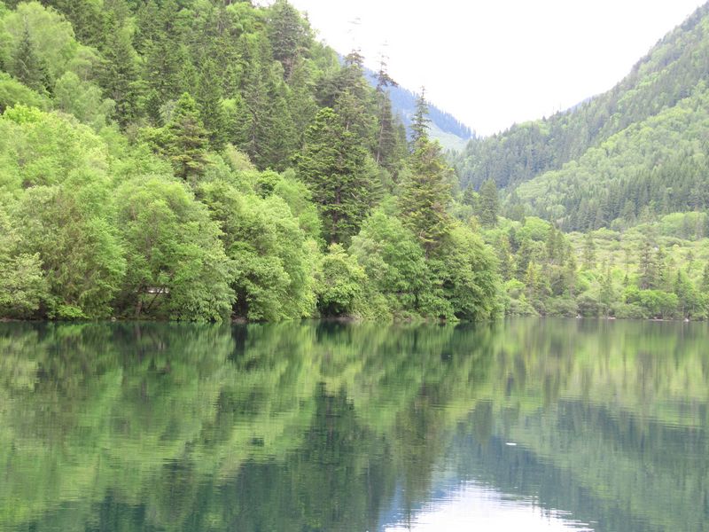 IMG_0642.JPG
