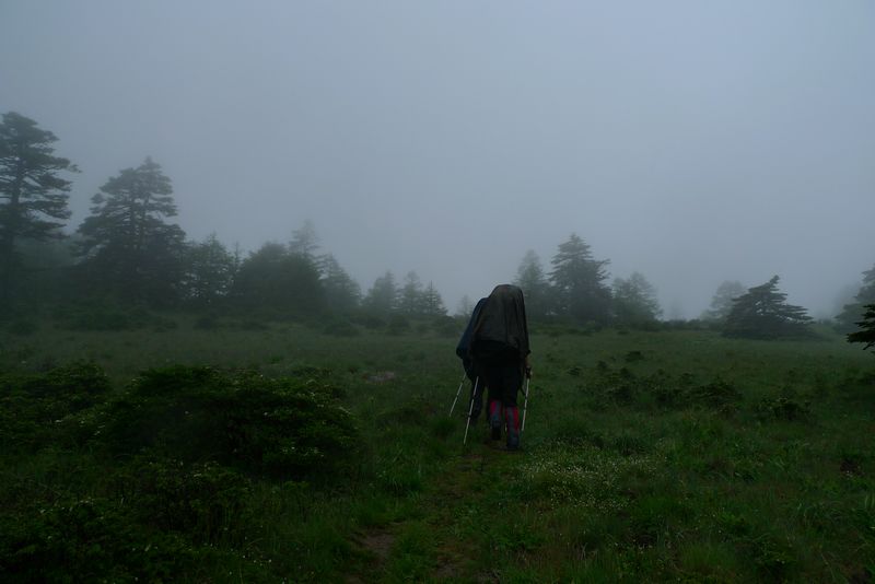 P1100384.JPG