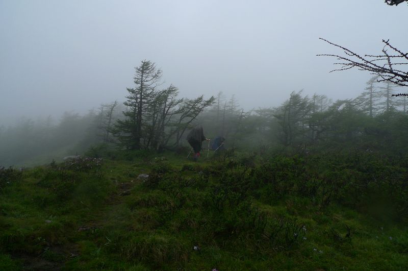 P1100400.JPG