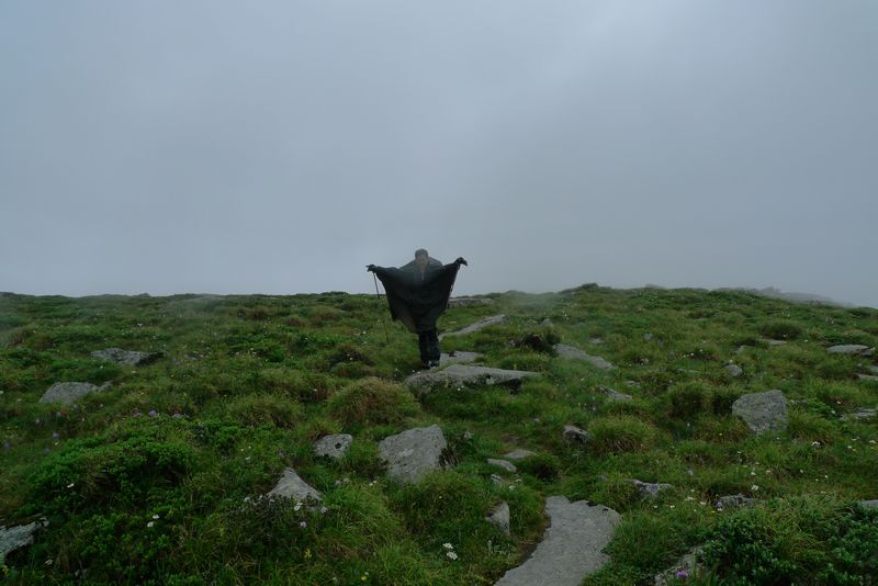 P1100430.JPG