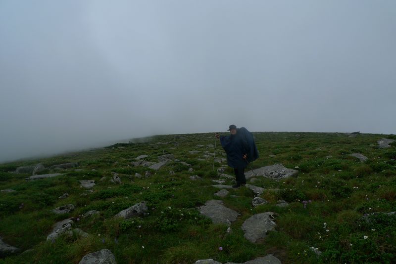 P1100429.JPG