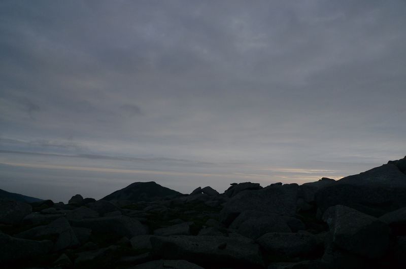 P1100474.JPG