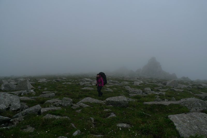 P1100499.JPG