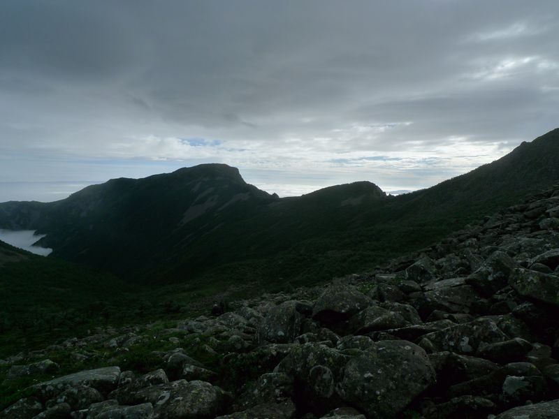 P1100646.JPG