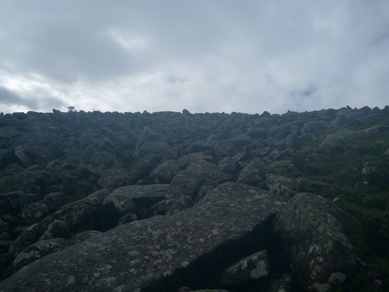 P1100652.JPG