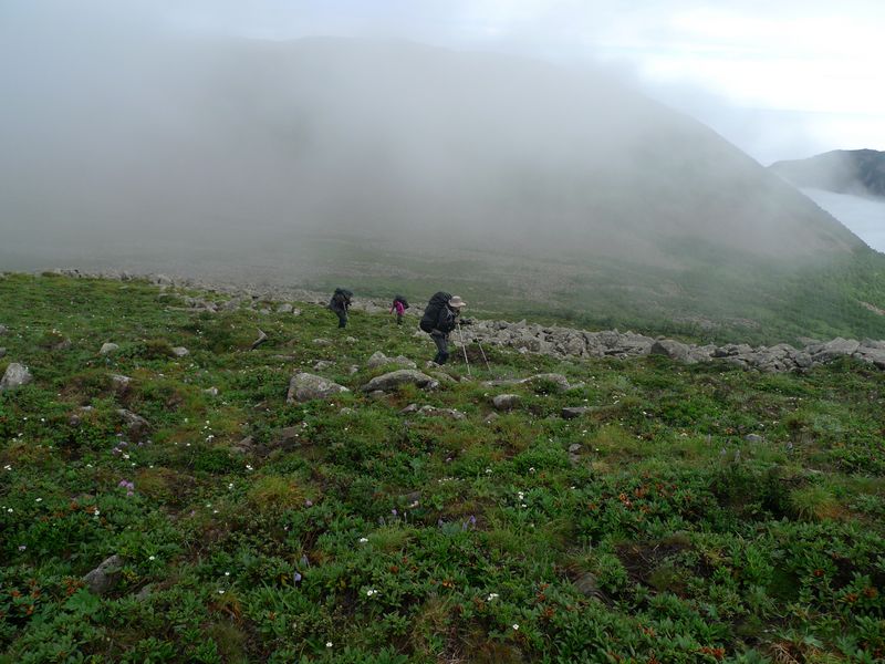 P1100653.JPG