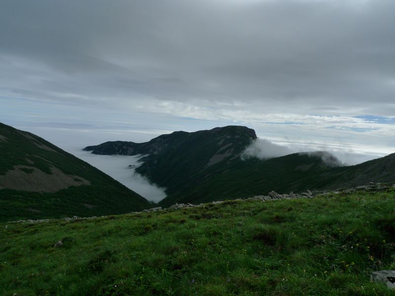 P1100668.JPG