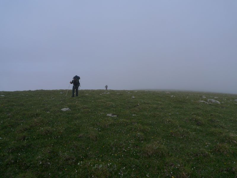 P1100695.JPG