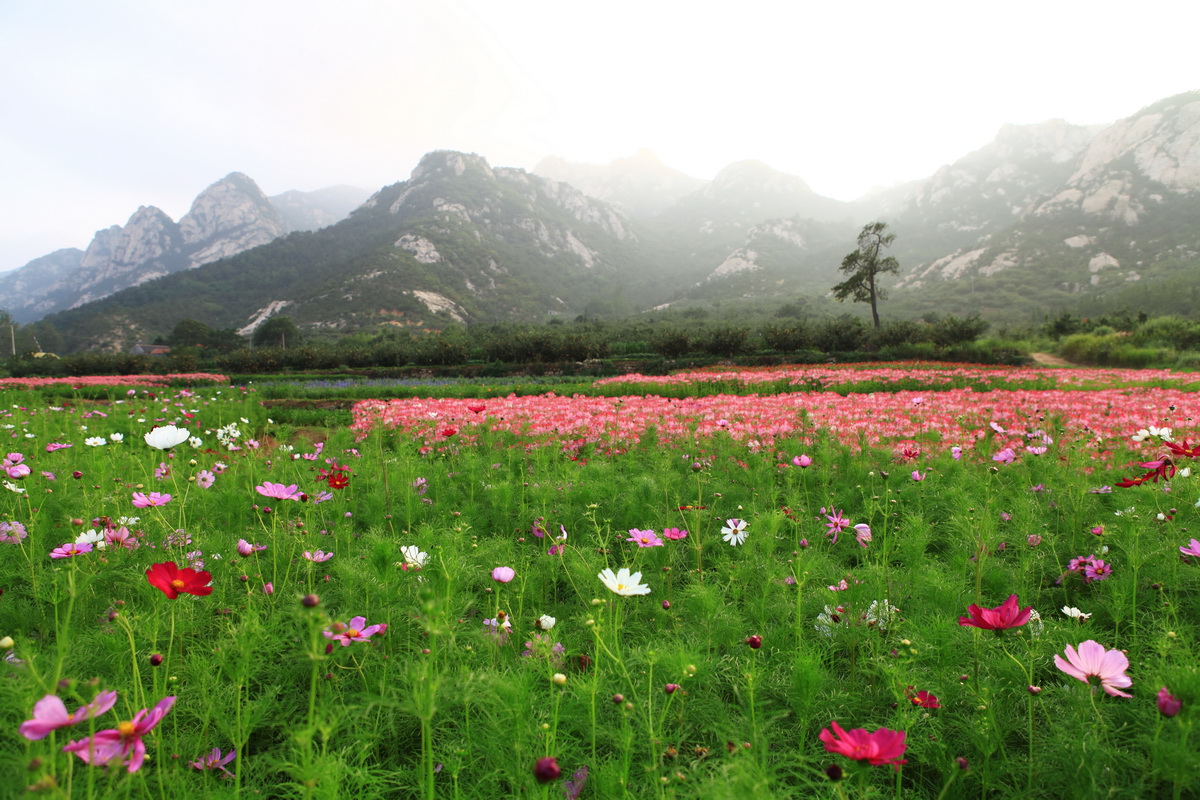 复制的 IMG_1847_调整大小.JPG