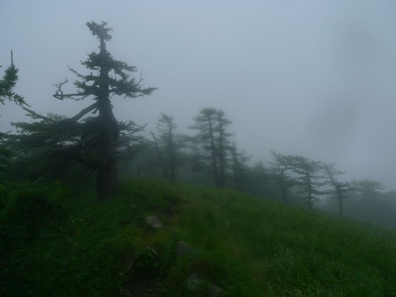 P1100875.JPG