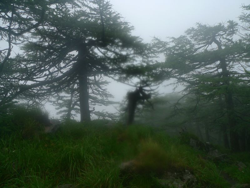 P1100871.JPG