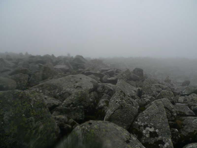 P1100878.JPG