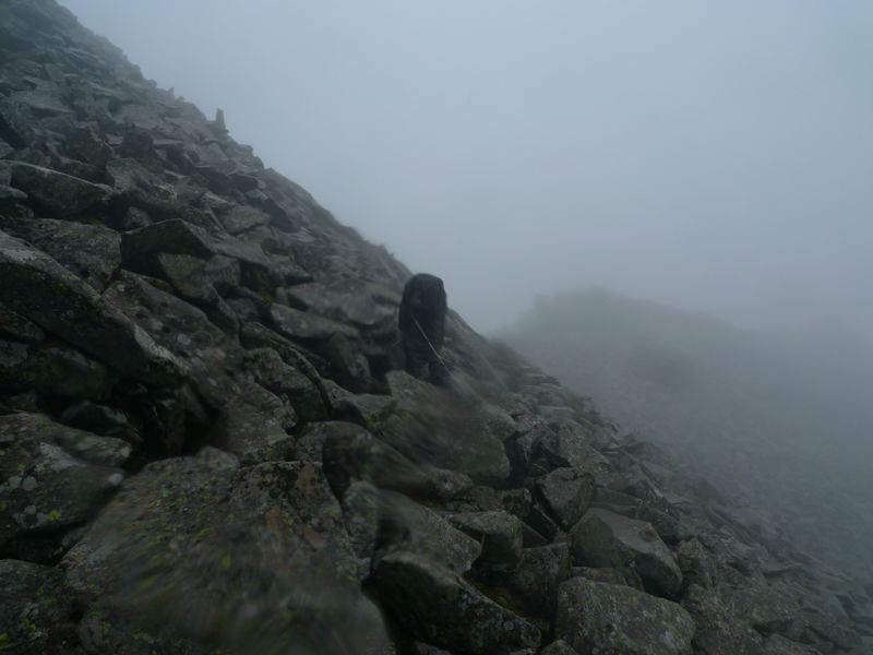 P1100899.JPG