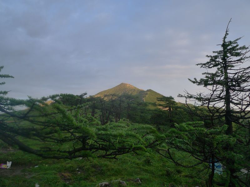 P1100919.JPG