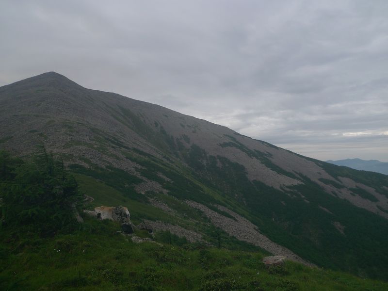 P1100940.JPG
