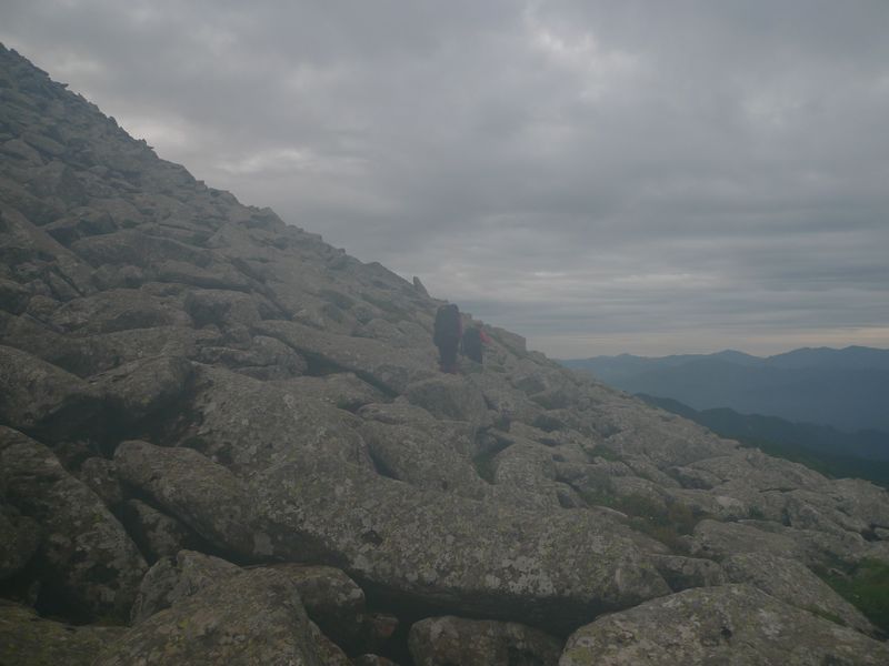 P1100961.JPG