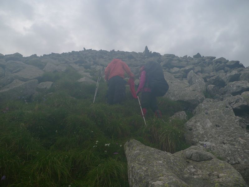 P1100964.JPG