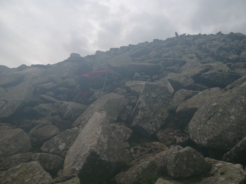 P1100965.JPG