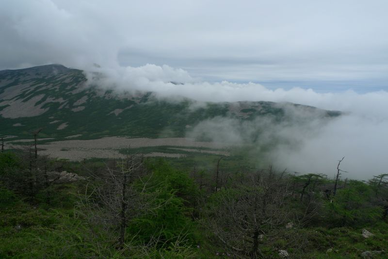 P1110033.JPG