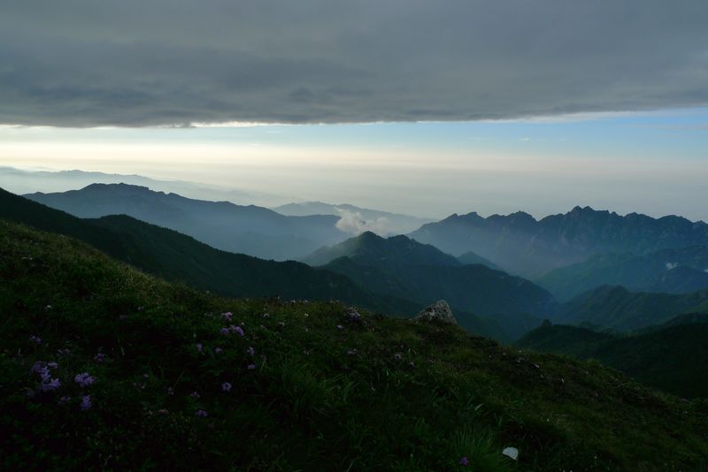 P1110117.JPG