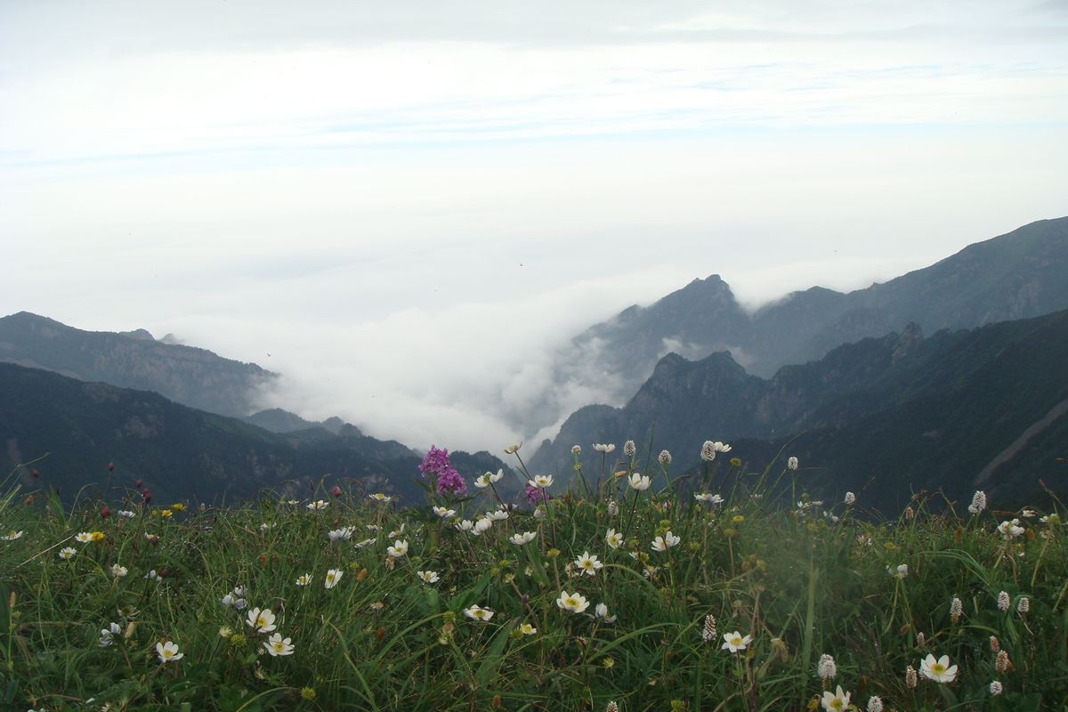 DSC03770.JPG