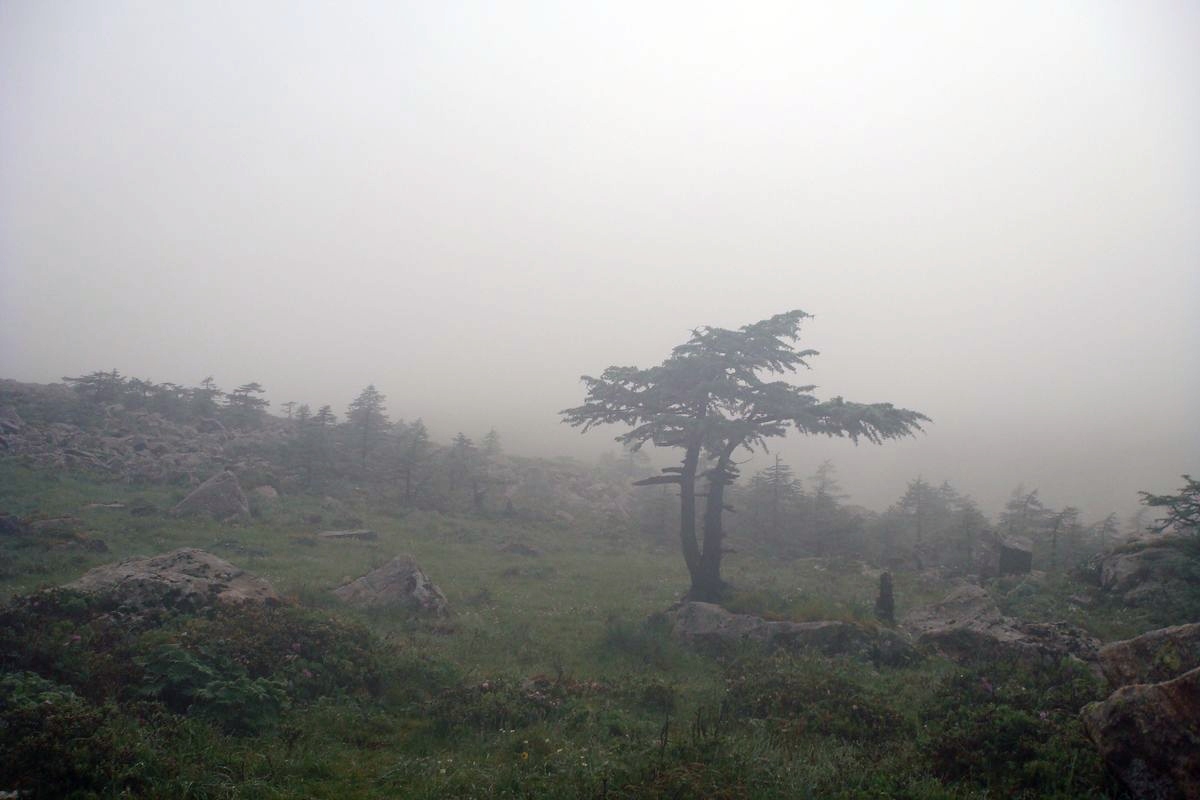 DSC03785.JPG
