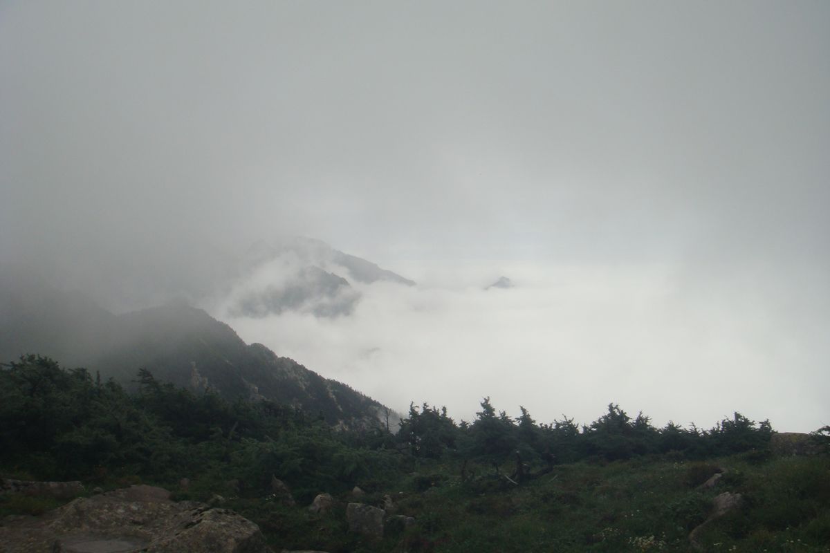 DSC03802.JPG