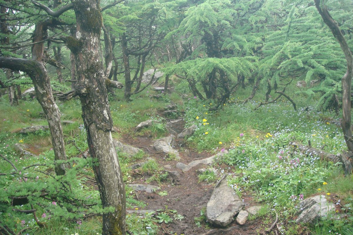 DSC03812.JPG