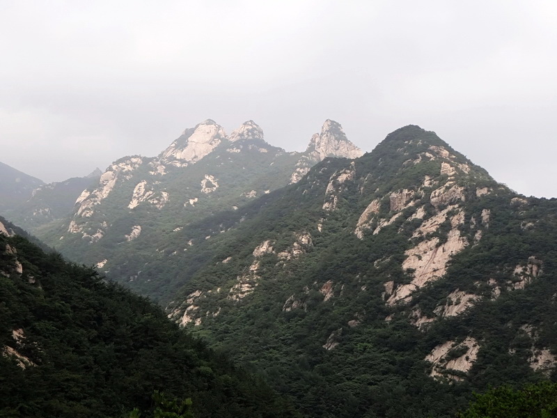 DSC05233.jpg