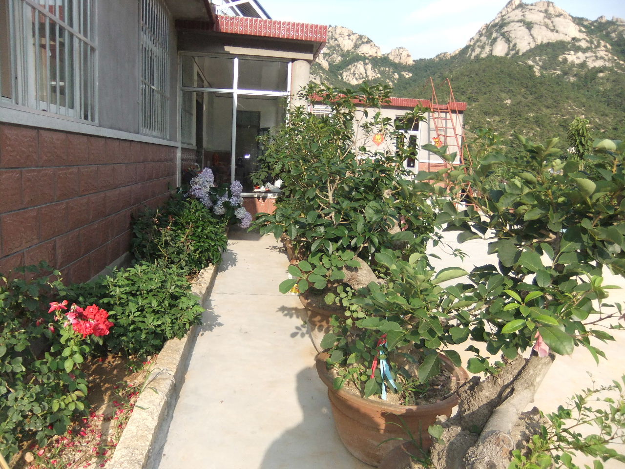 DSCF4180.jpg