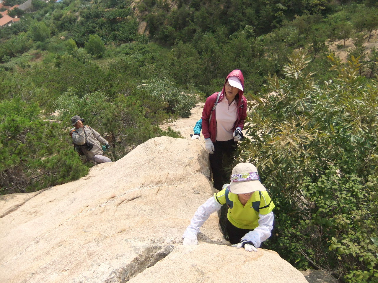 DSCF4079.jpg