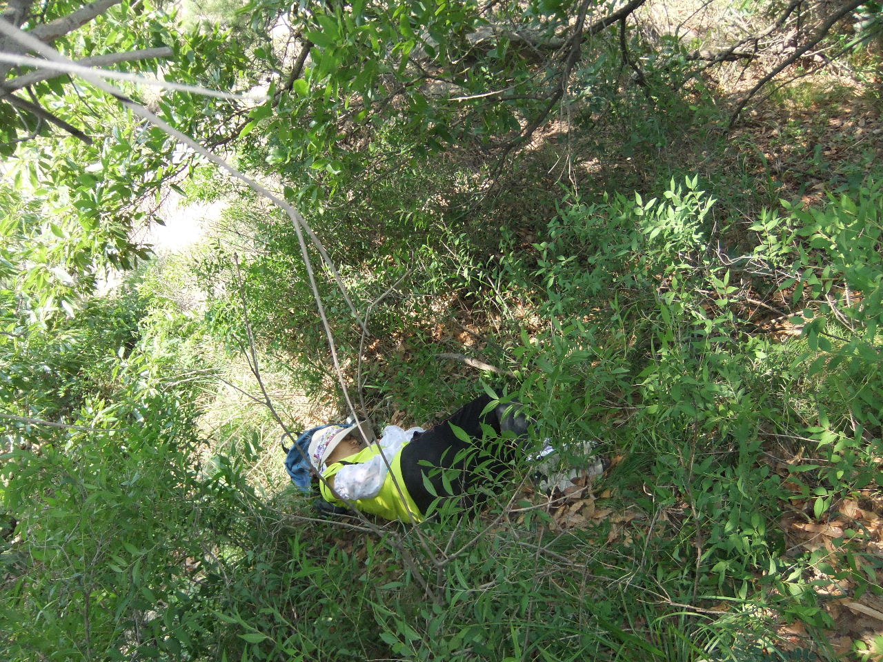 DSCF4128.jpg