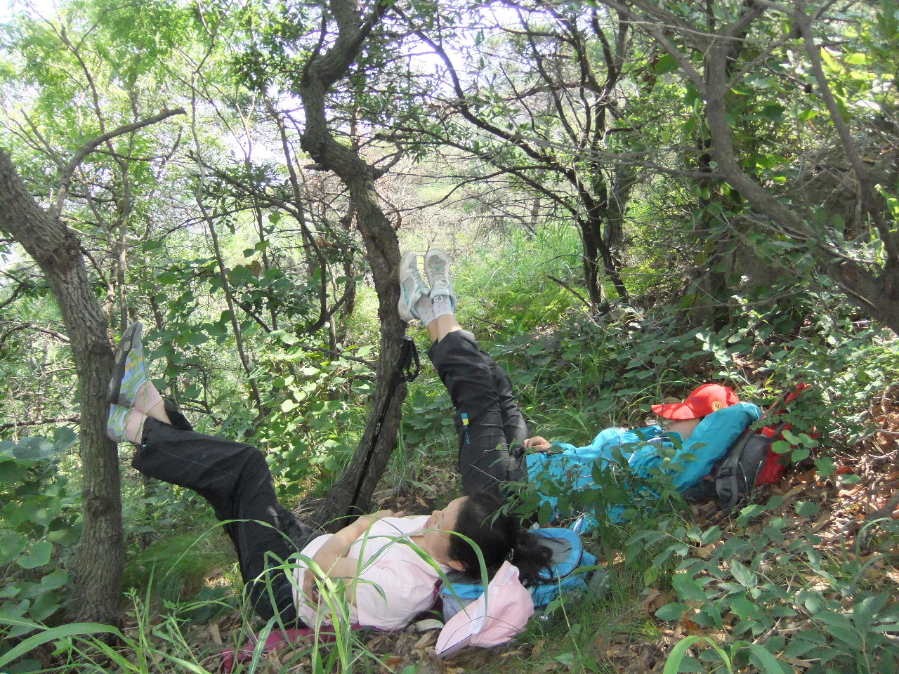 DSCF4127.jpg