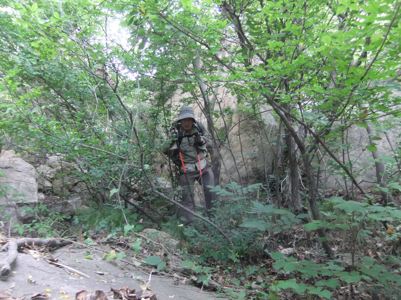 DSCF4149.jpg