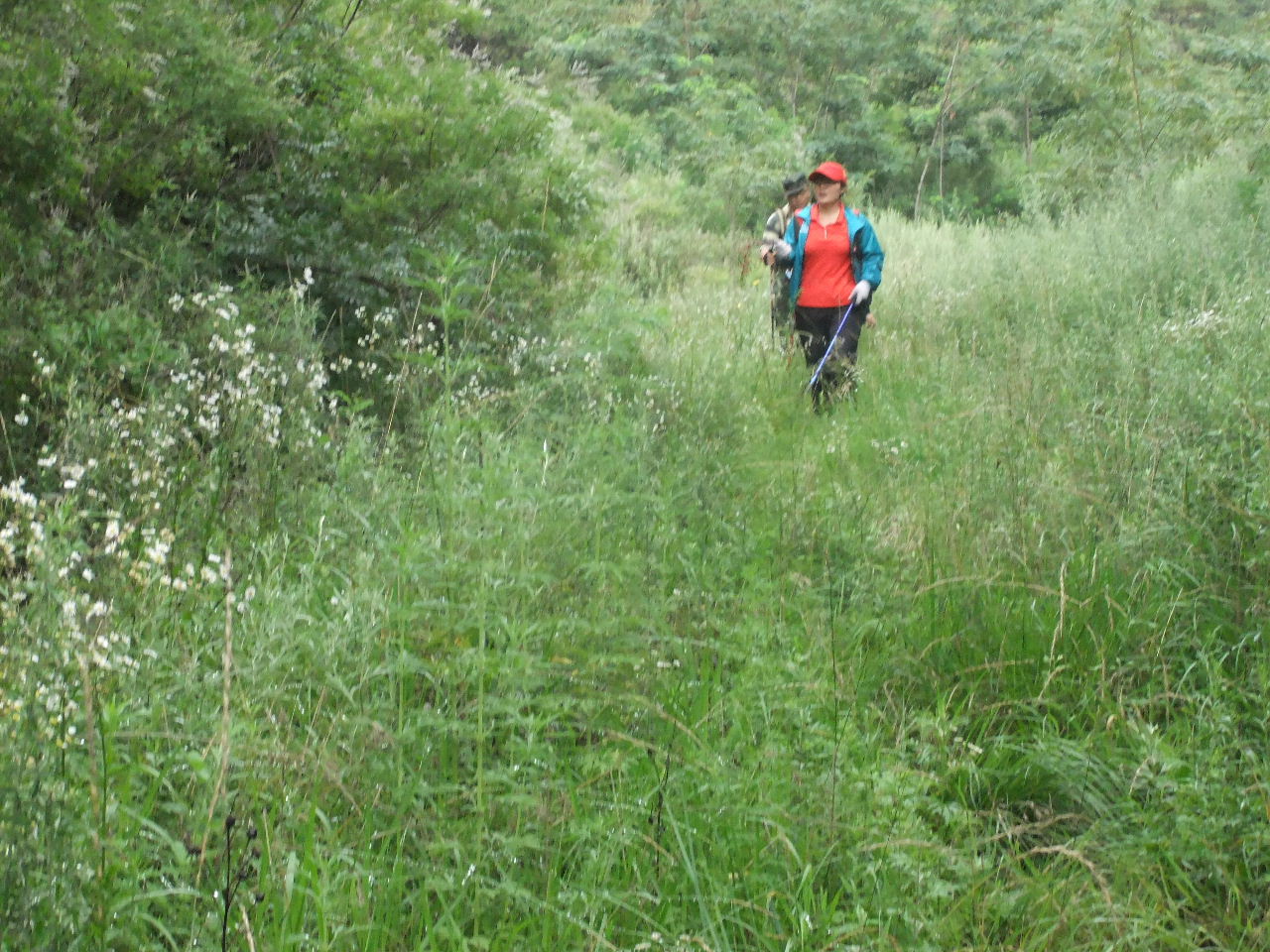 DSCF4257.jpg
