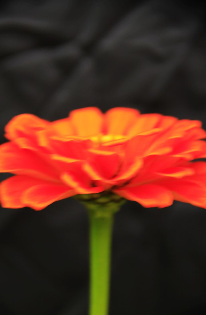 nEO_IMG__MG_8831.jpg
