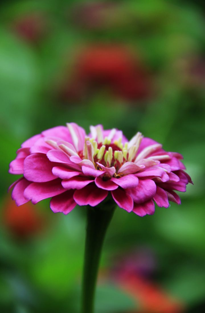 nEO_IMG__MG_8824.jpg